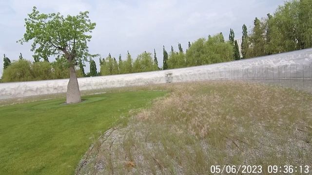Юг 2023 (2)