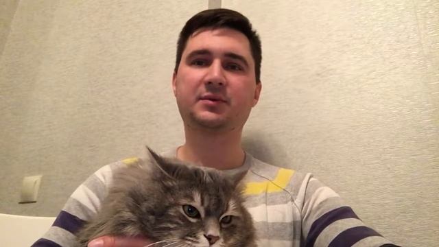 Задание БМ ЦЕХ - Видео "Прорыв" Беспроводной Умный дом г. Краснодар