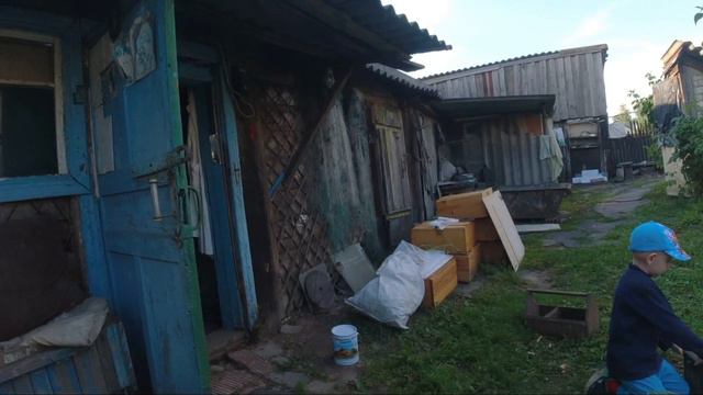 Смотрим пчёл качаем мёд)))