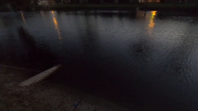 First fishes on the channel (big gulp)