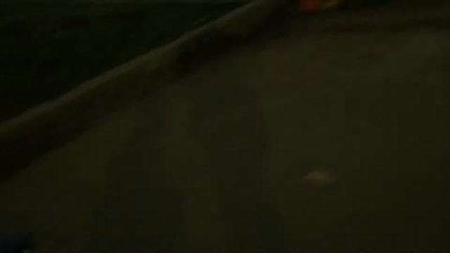 Гатчинский дворец-то как стал хорошо освещаться в тёмное время! 12.10.2016 18:45