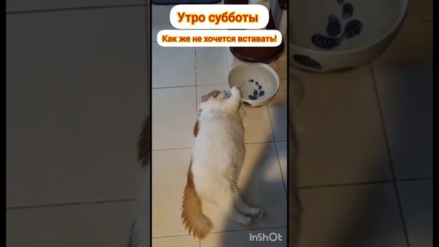 утро субботы!