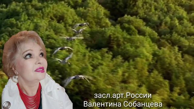 ,, Летят утки"  Валентина Собанцева засл. арт. России