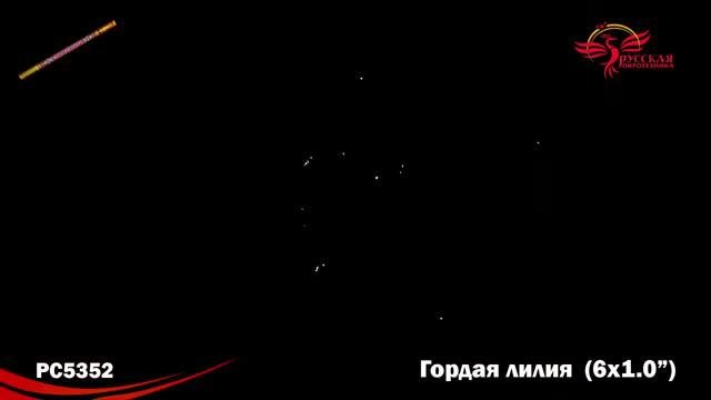 PC 5352 римская свеча Гордая лилия (1