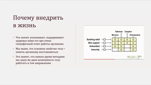 Blue Tansy. Свойства и применение эфирного масла