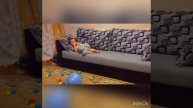 Ура!!!Хорошо, что приснилось!