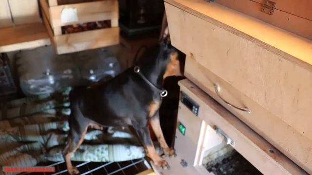 Один день из жизни в сказке (часть 2). Деревенская жизнь в дали от города.#деревенский_блог