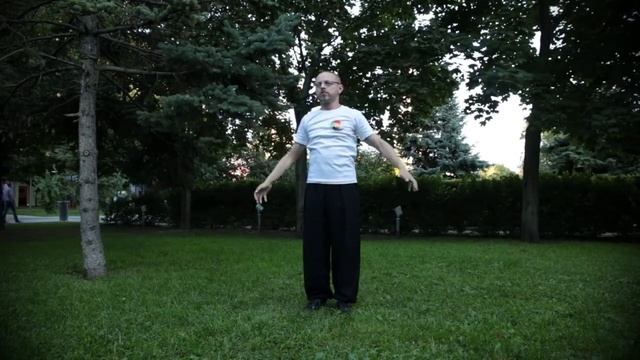 Дамо Ицзиньцзин. Молодой дракон выпускает когти 812.