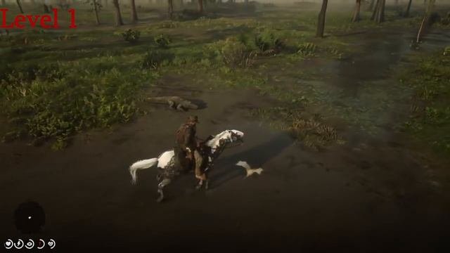 RDR 2 Missouri Fox Trotter LVL 1 VS LVL 4 Is It Really Better ?