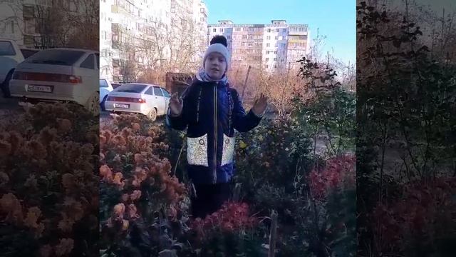 VID-20231108-WA0016.mp4