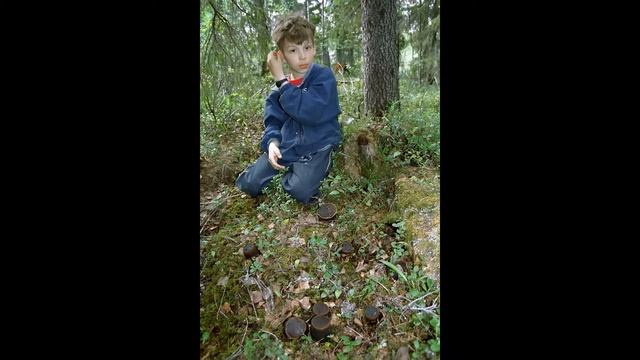 Sarcosoma Globosum
