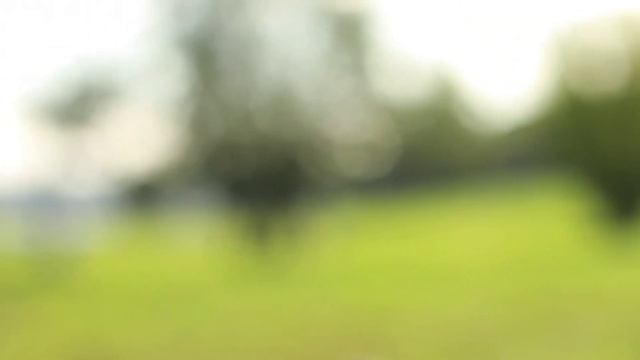 Как быть успешным ? | Секрет счастья