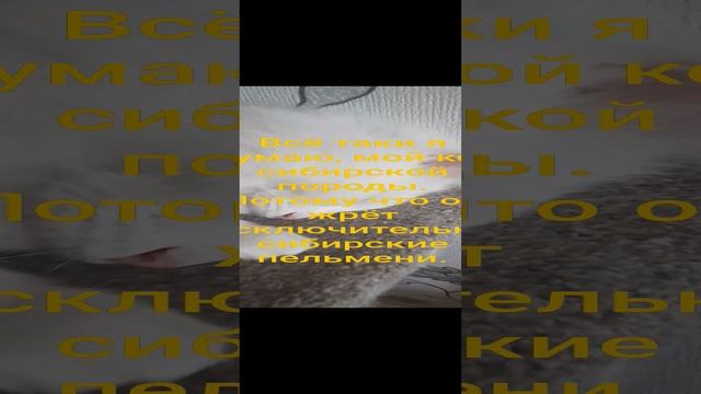 Анекдотик 4