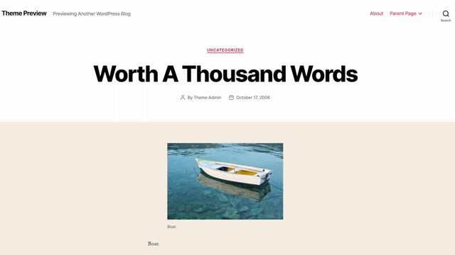 WordPress Beginners: 5 Things You MUST Know Before You Launch