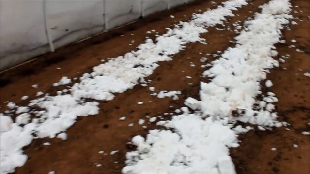 Влияния снега на конструкцию теплицы