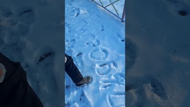 Первый снег в этом году