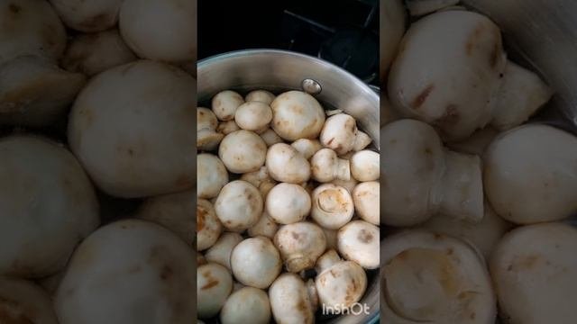маринованные грибочки