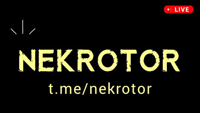 NEKROTOR - новый трек из альбома 2024 года ТЕХНО ДЛЯ ВНЕЗЕМНЫХ ЦИВИЛИЗАЦИЙ
