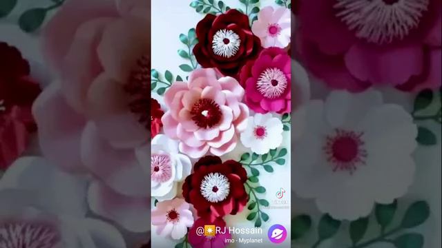 1000183180.mp4