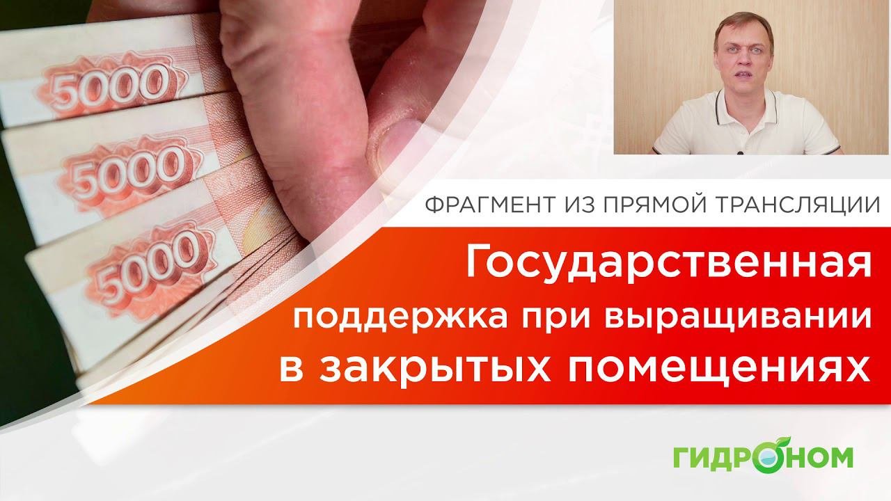 Государственная поддержка при выращивании в помещениях