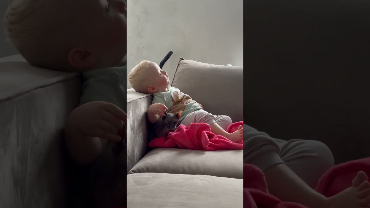 С кошкой всё прекрасно, никто не пострадал))