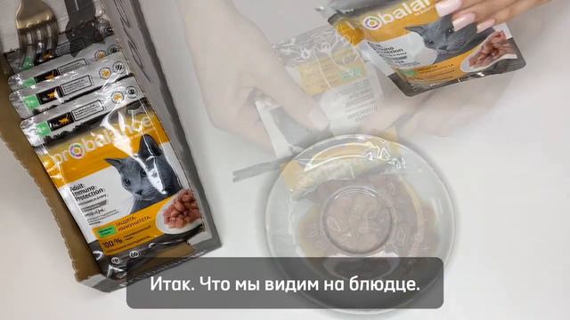 Мифы о питании и иммунитете кошек | Обзор Probalance Immuno