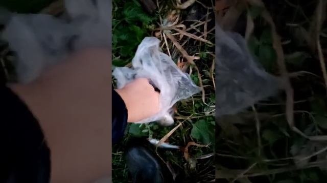 ВЕЧЕРНЯЯ РЫБАЛКА НА ПОПЛАВОК!