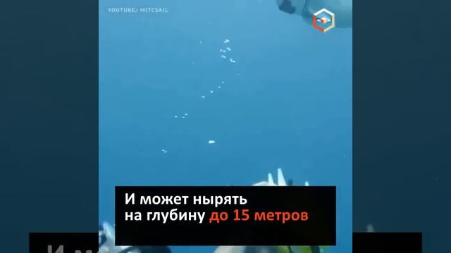 Underwater robot takes on the camera fauna of the ocean  Подводный робот снимает  фауну океана