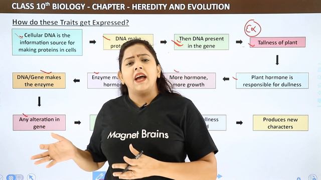 Class 10 Biology Chapter 9 | How Do These Traits Get Expressed? - Heredity And Evolution