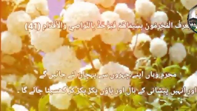 Surah Ar-Rehman Full | Mashary Rashid Al Afasy (HD) | سورة الرحمان | Surah Rahman With Text | Quran