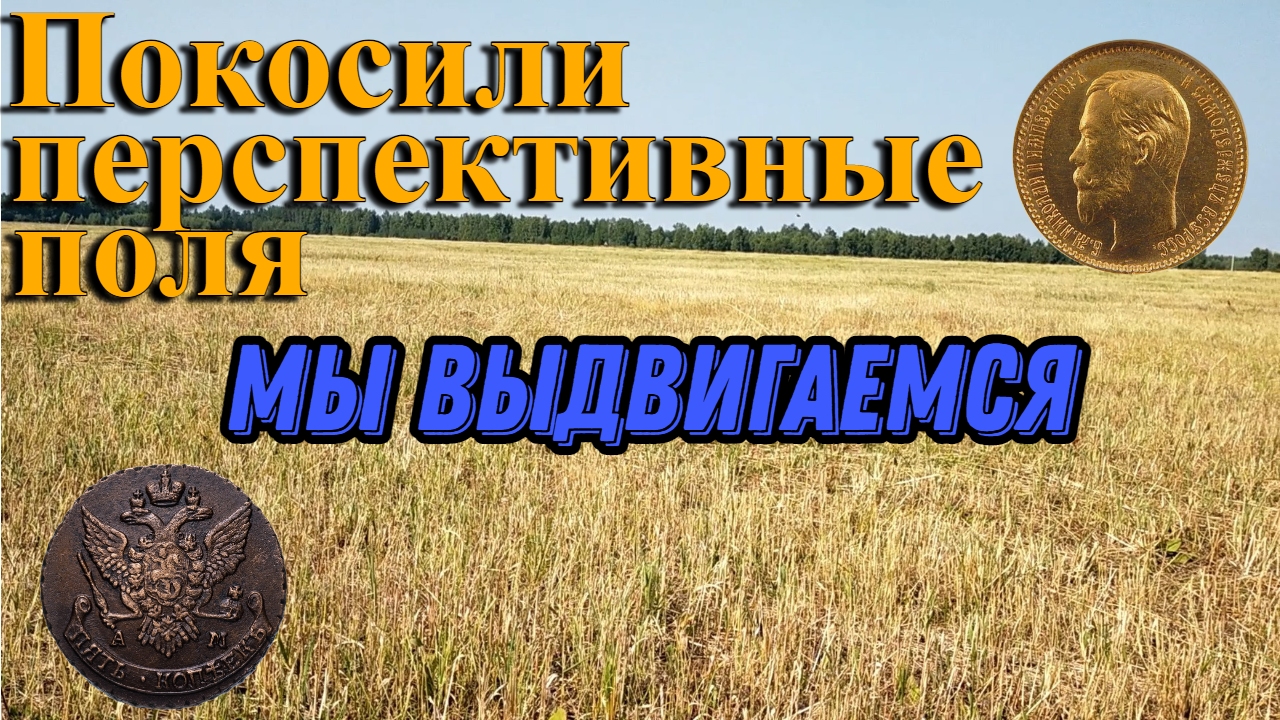 Коп монет. Сенокос НАЧАЛСЯ! Копаем перспективные поля!