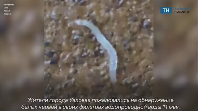Жители Узловой  обнаружили белых червей в своих фильтрах водопроводной воды