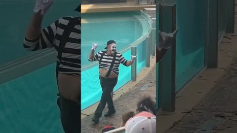She asked for this one! 😆🤣 Tom mime Seaworld #seaworldmime #tomthemime