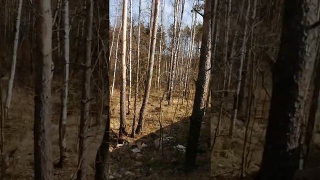 Достопримечательности г Александрова!