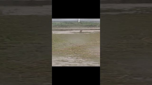 1000048243.mp4