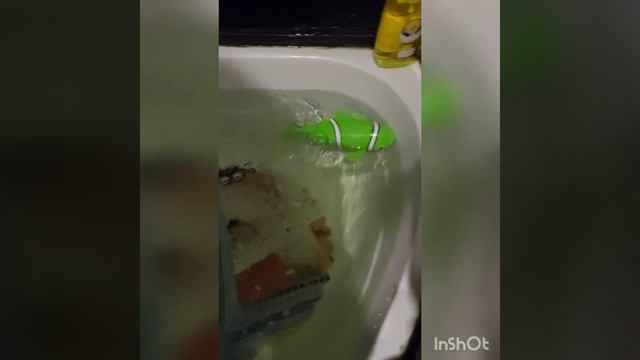 Прикольная рыбка из Фикс Прайс 🐠 Тестим