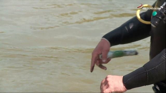 Дно пруда в парке Жемчужина очистили водолазы Юпитера