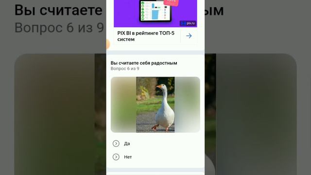 гусь тоша проходит тесты "какой ты гусь!" #популярное #капибара #руня_мем #популярное