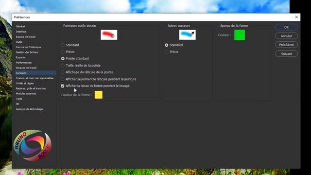 ACTIVER TOUTES LES FONCTIONS DES PREFERENCES  PHOTOSHOP CC 2020Bruno Sorce