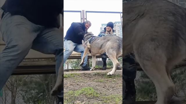 Марбл. Прикладная защита.