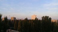 ДОБРОГО УТРА, хорошего дня. Они летят !
