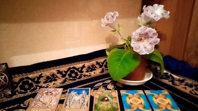 Срочное сообщение для Вас.??гадание онлайн