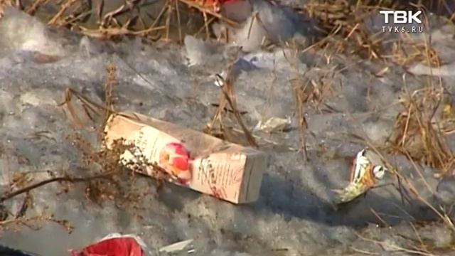 Убирать мусор в Красноярске будет региональный оператор