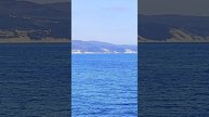 Корабль РИО #сухогруз #Природа #Кабардинка #море #черноеморе