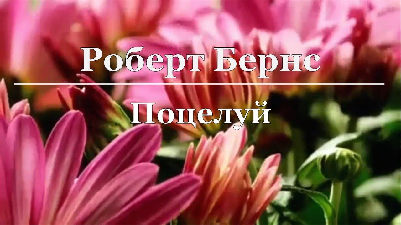 Роберт Бернс - Поцелуй