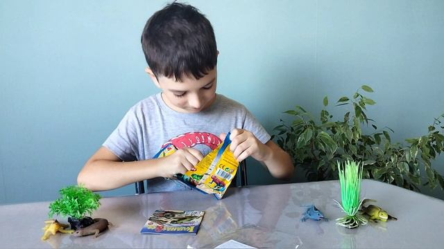 Распаковка коллекции диагостини Игуаны
#распаковка #коллекция