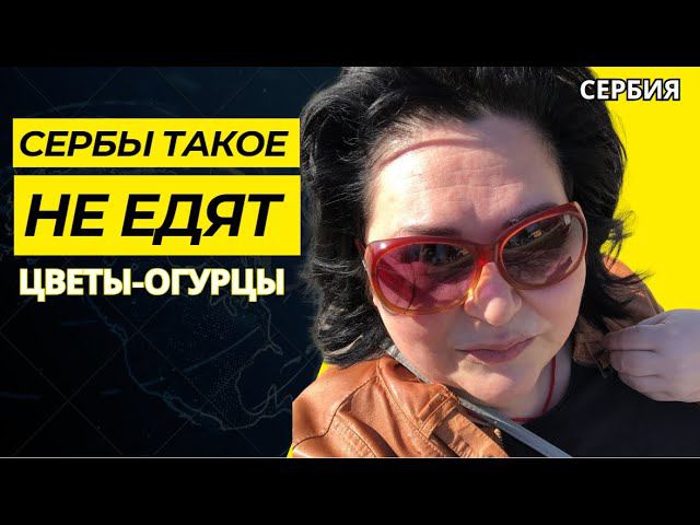 VLOG/Сербы такое НЕ ЕДЯТ/УХА ПО-ДЕРЕВЕНСКИ/У НАС ГОСТИ/ЦВЕТЫ-ОГУРЦЫ #serbia #сербия #жизньвсербии