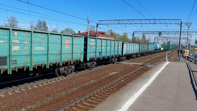Жгучие моменты: уникальный грузовой поезд с локомотивом ВЛ10 проносится через Ижоры!