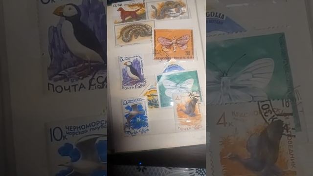 Почтовые марки СССР, удивительная картина, колекция！