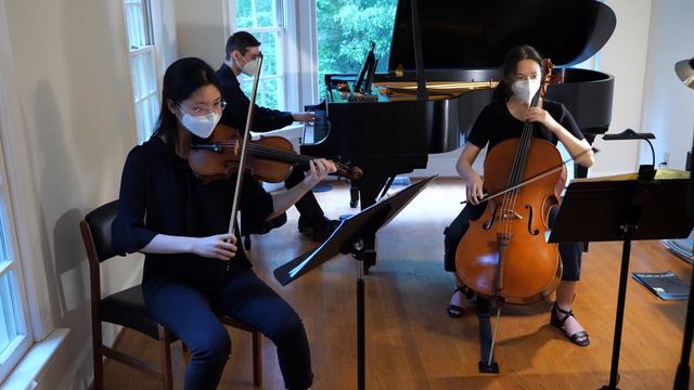 Trio for piano, violin, and cello - I. Modéré - Maurice Ravel